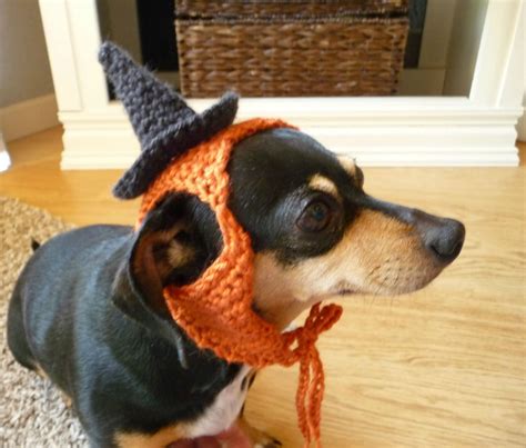 crochet cat halloween costume|crochet dog halloween costume pattern.